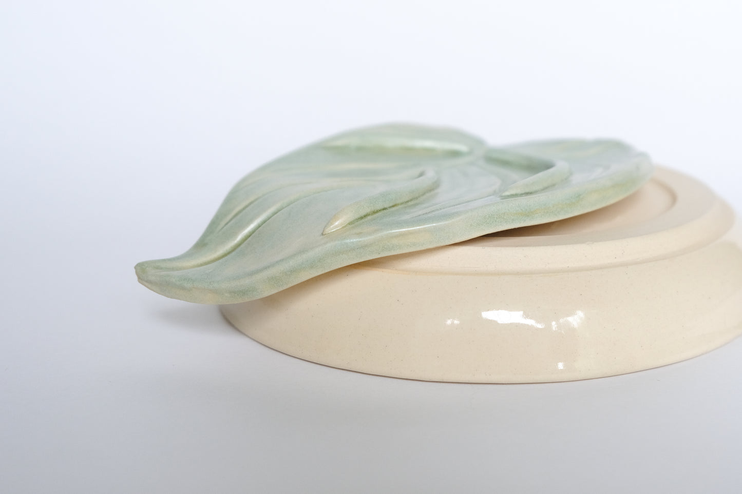 Green Shelf Leaf