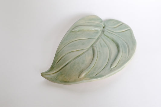 Green Shelf Leaf