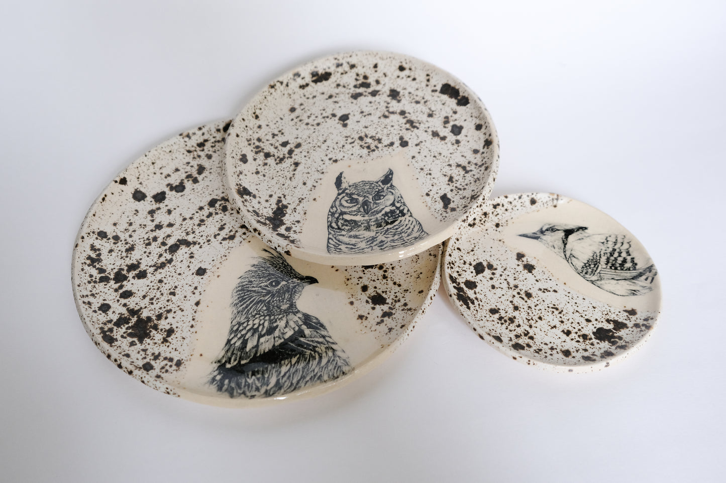 Bird Plate Set