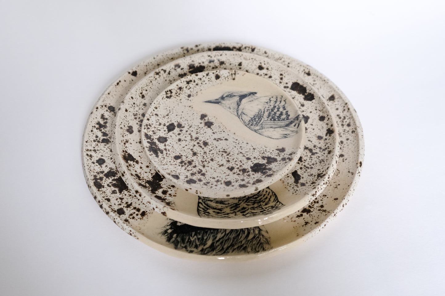 Bird Plate Set