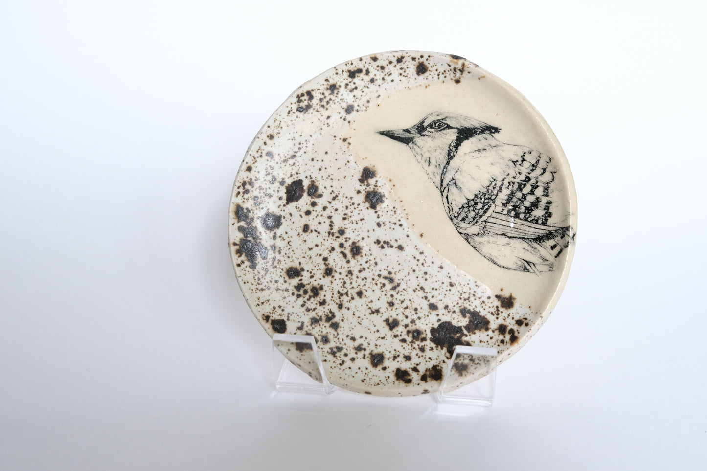 Bird Plate Set