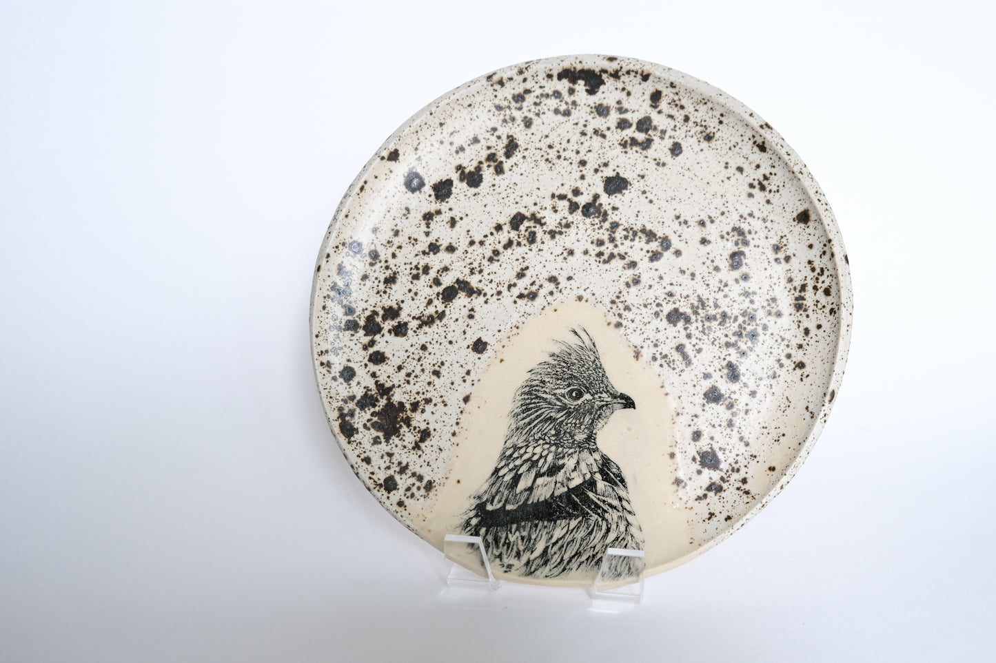 Bird Plate Set