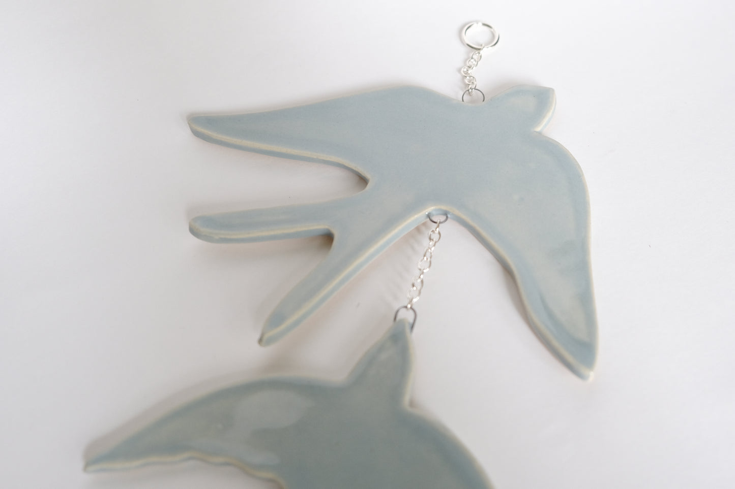 Blue Swallows