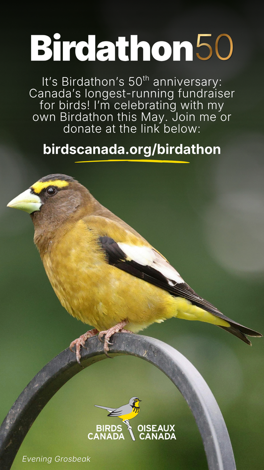 Birds Canada Donation
